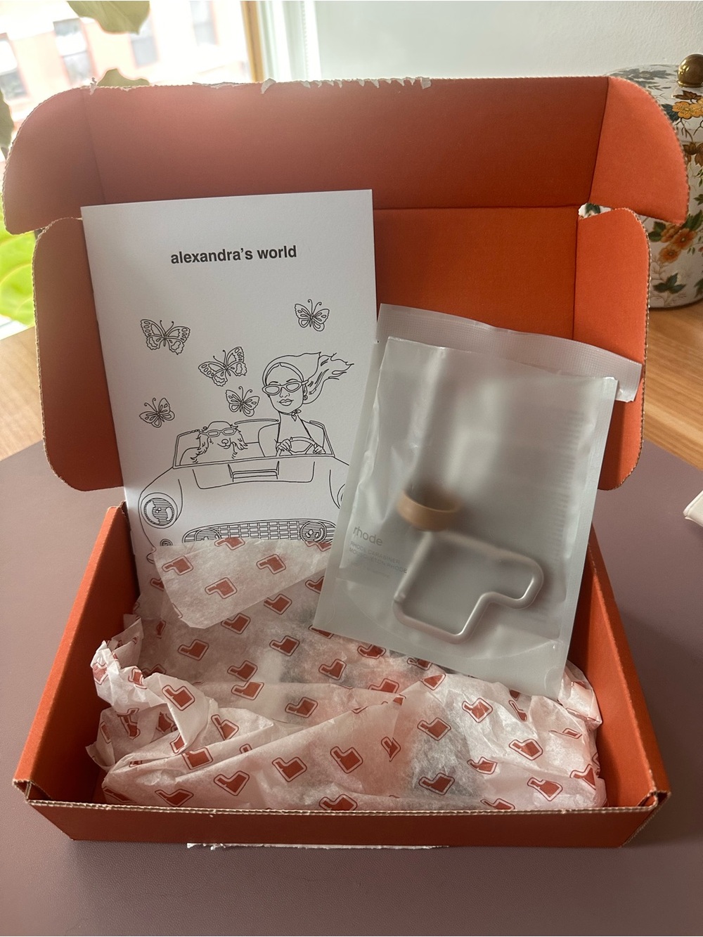 Rhode Carabiner and Coloring Book